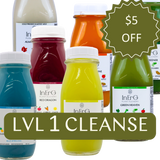 LVL 1 THREE DAY CLEANSE